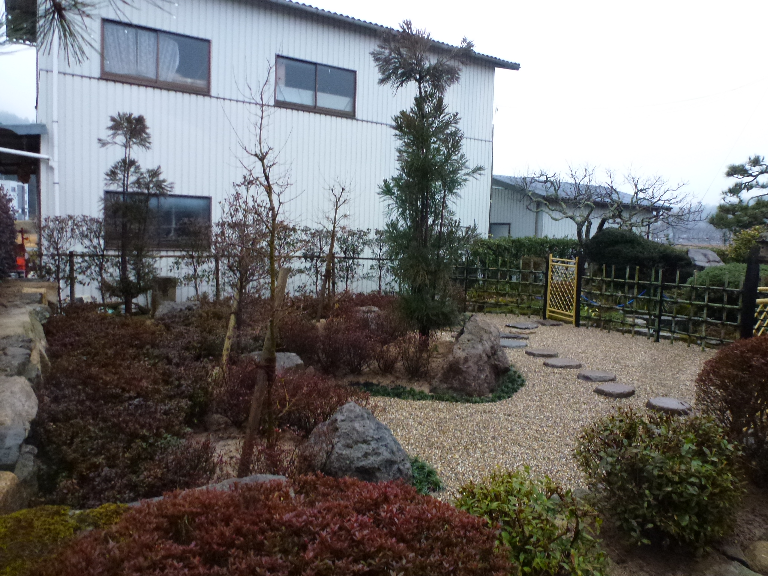 P1150669.JPG
