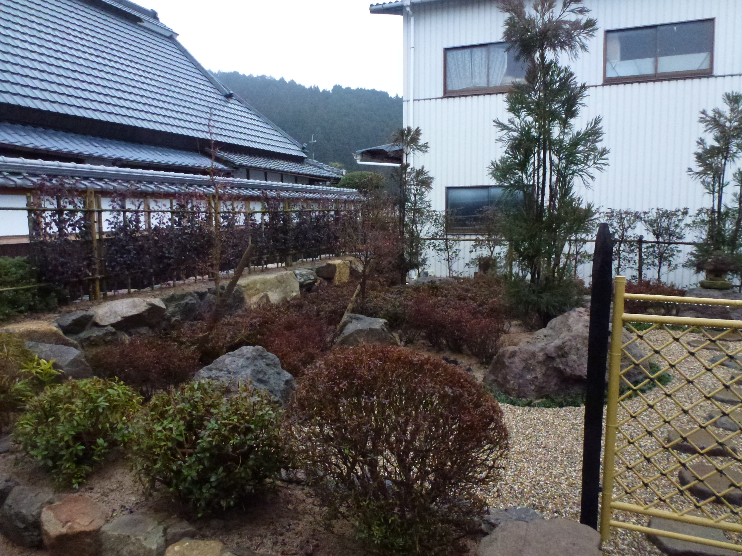 P1150670.JPG