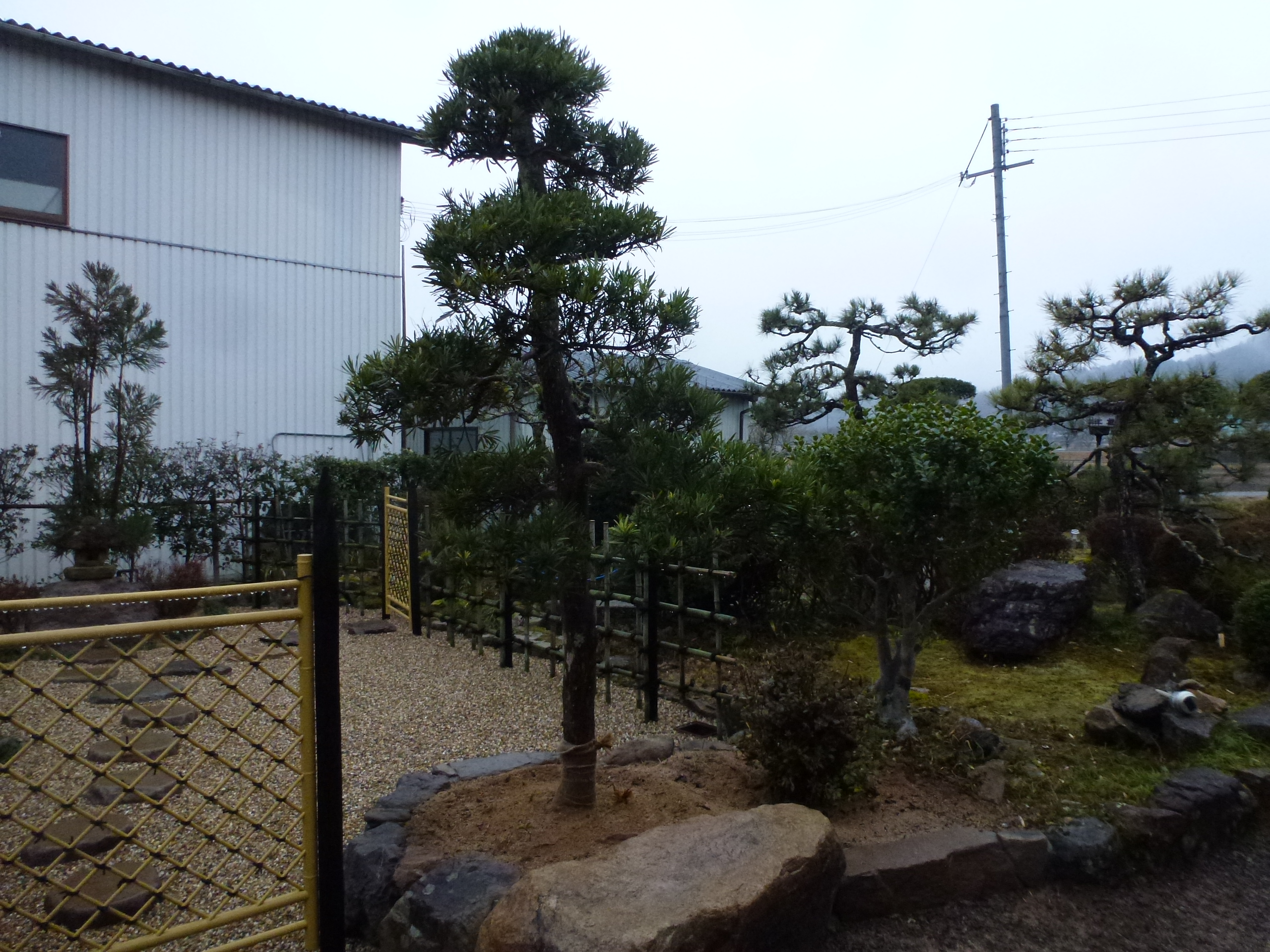 P1150672.JPG