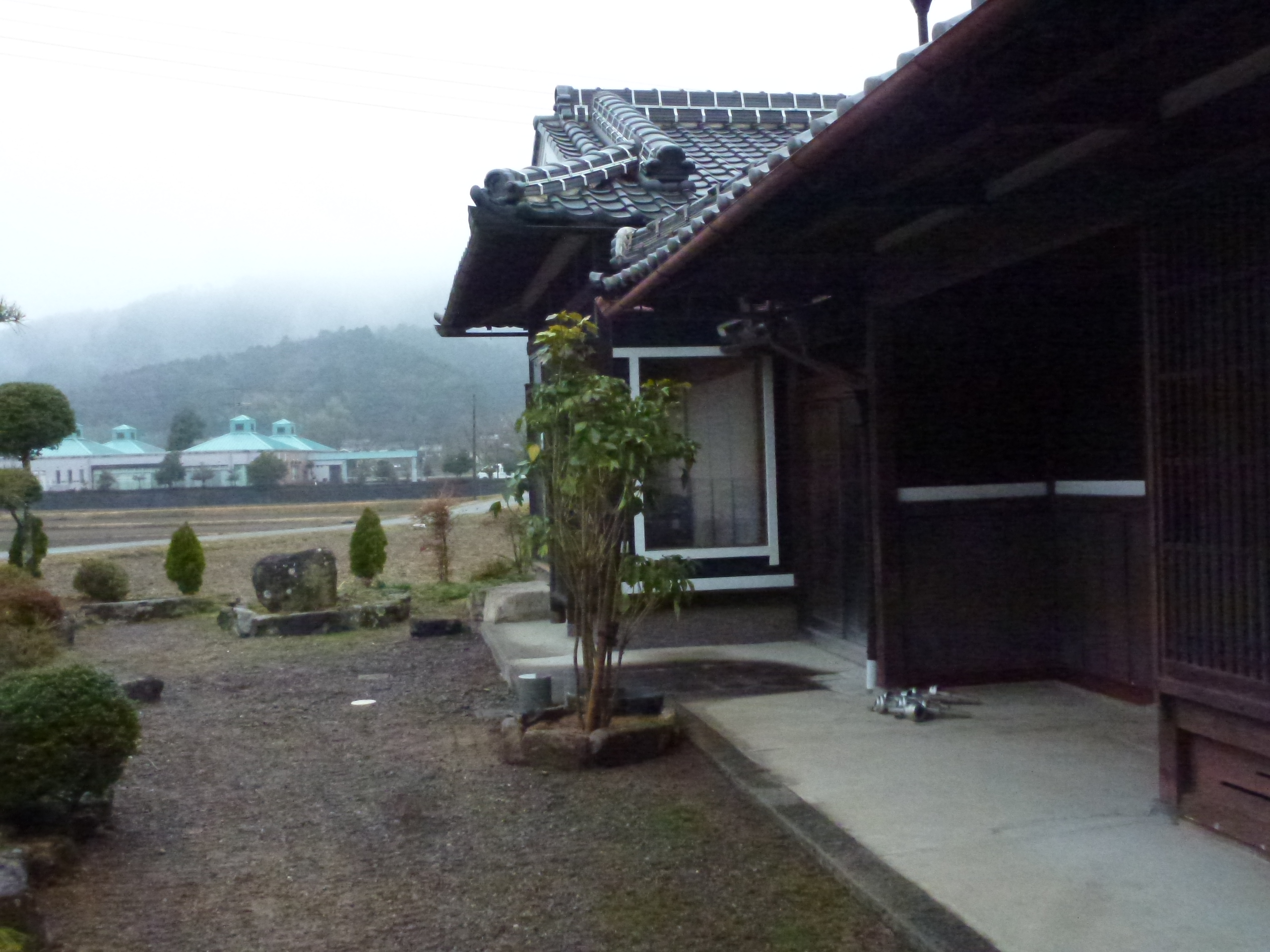 P1150673.JPG