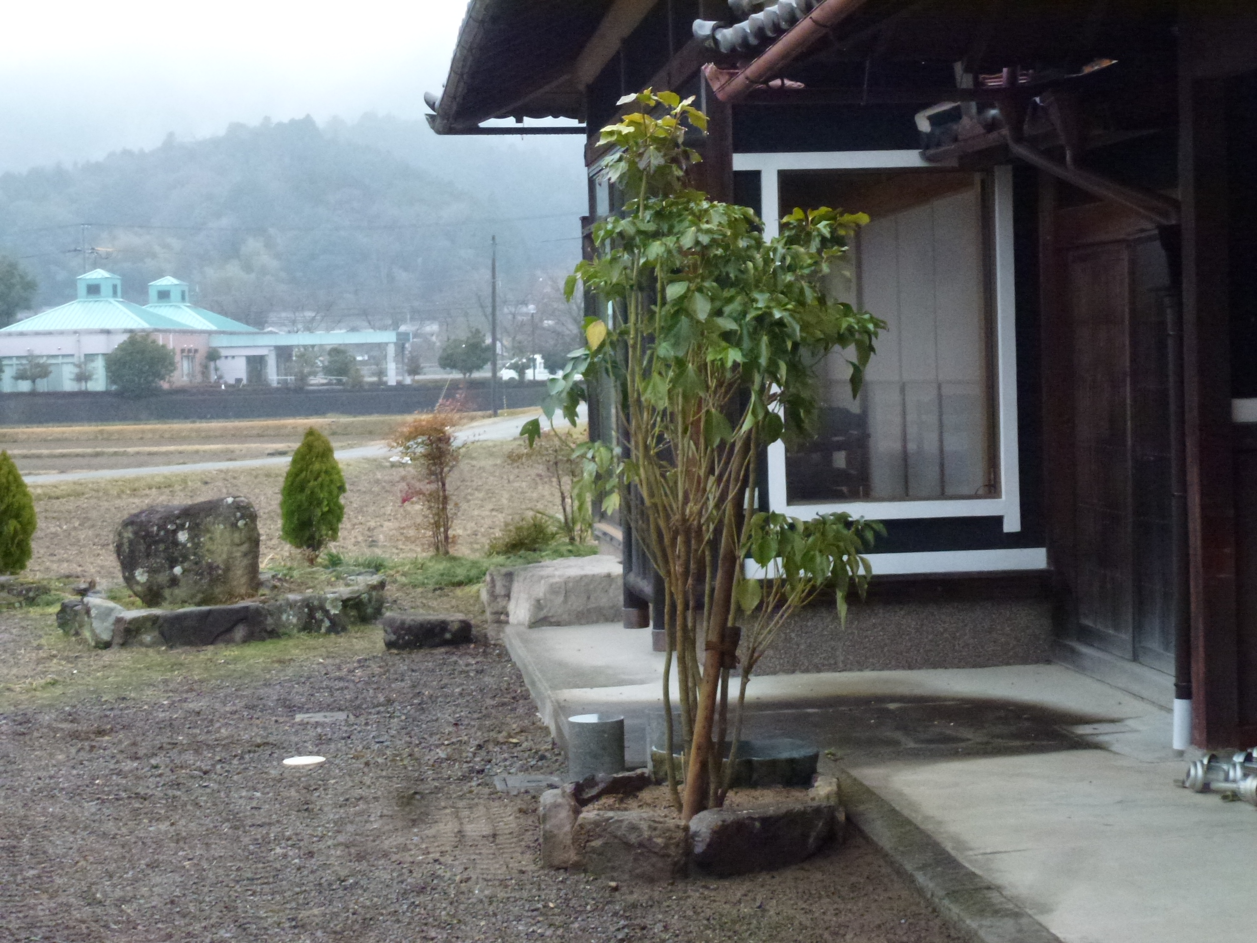 P1150674.JPG