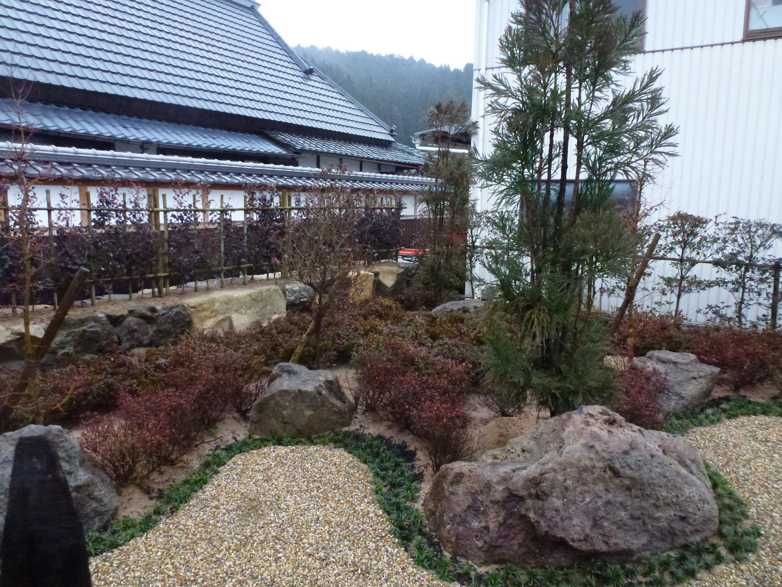 P1150677.JPG