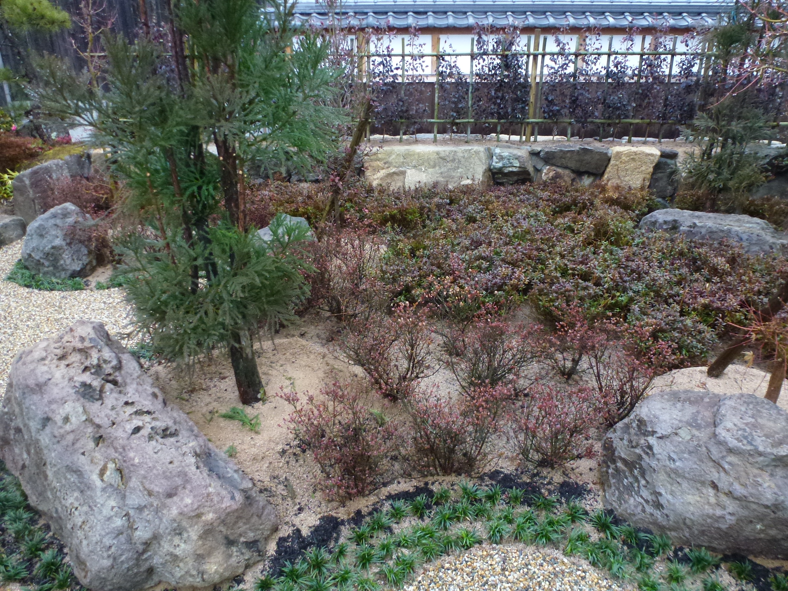 P1150679.JPG