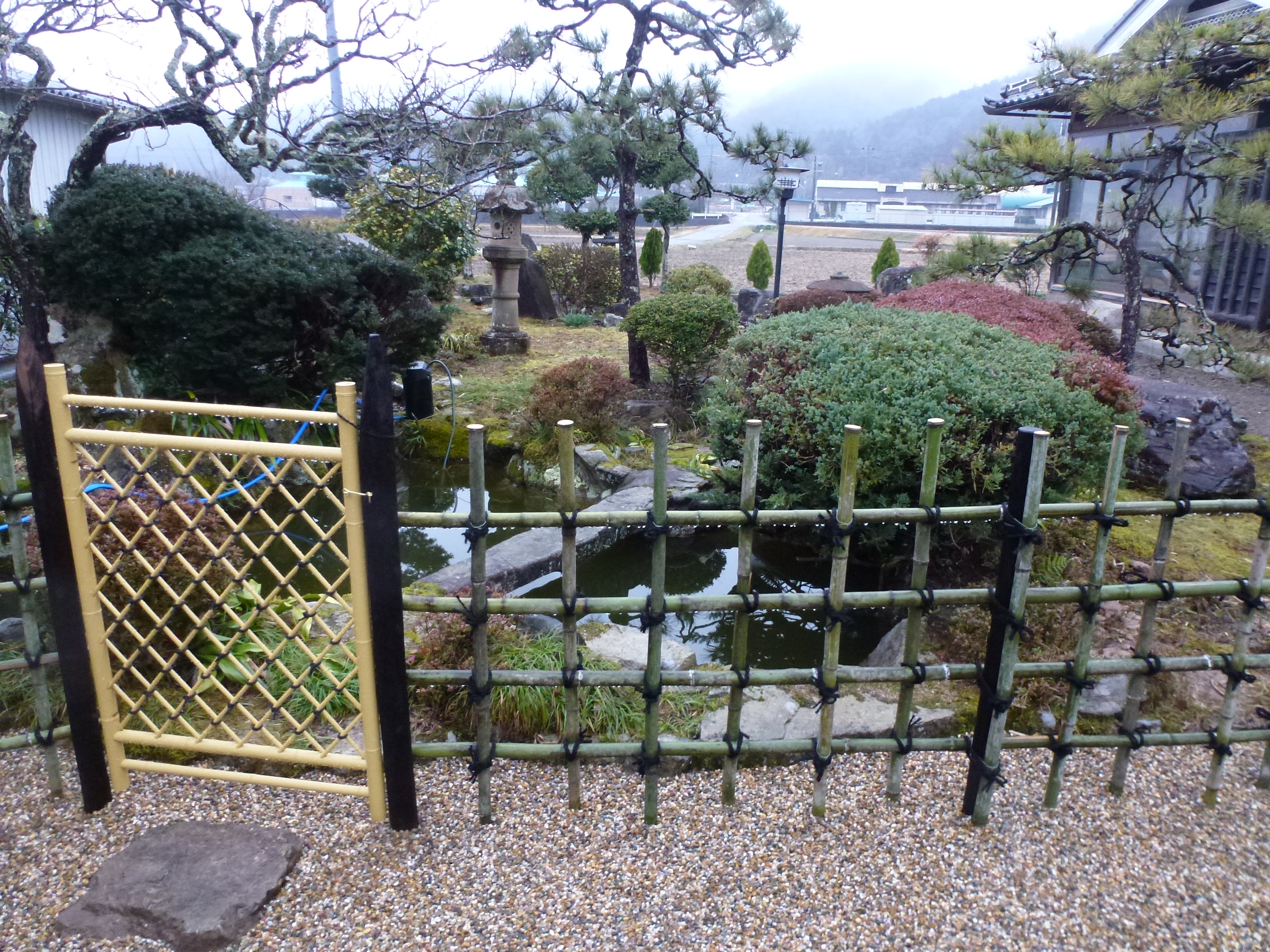 P1150683.JPG