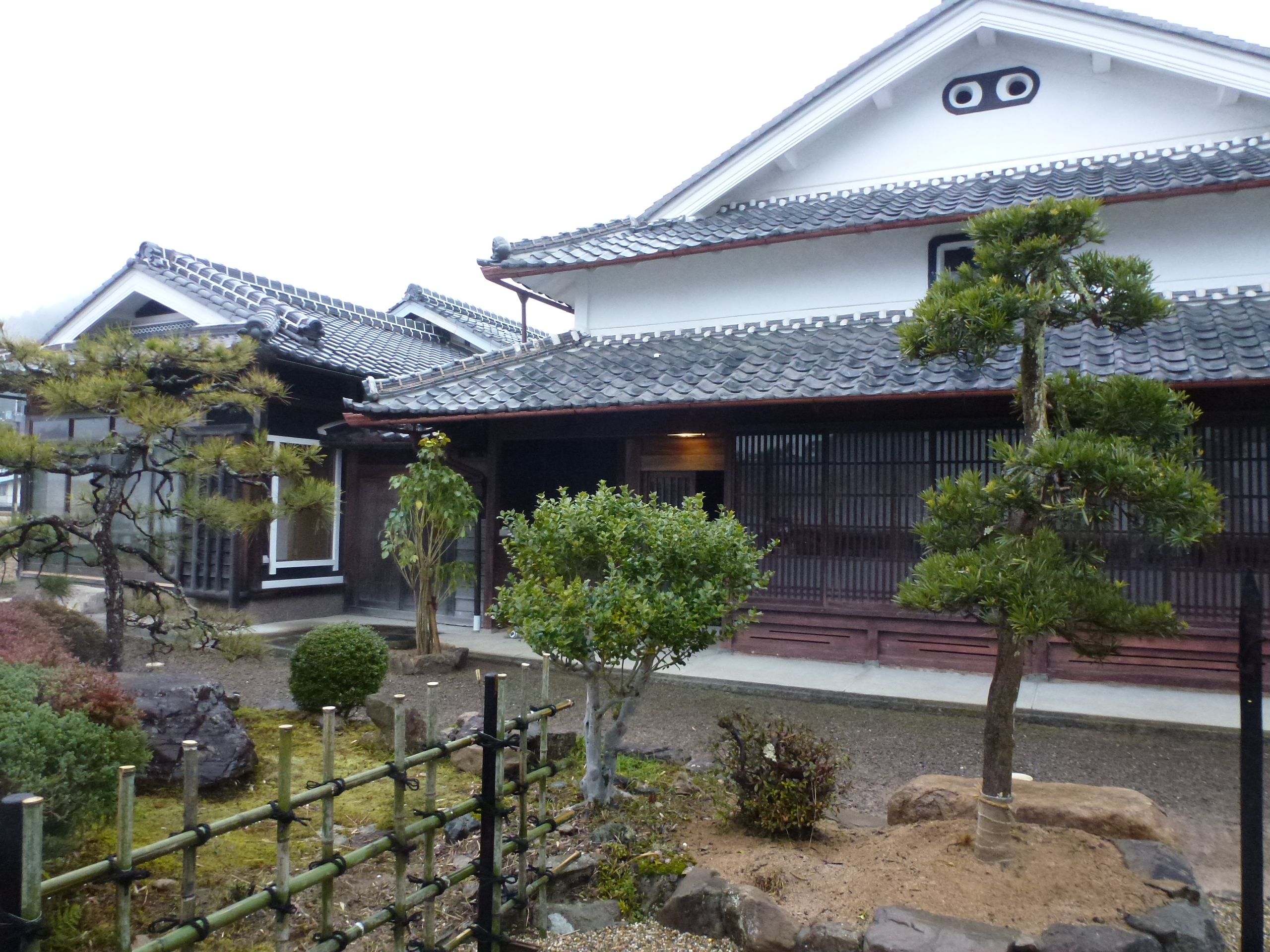P1150684.JPG