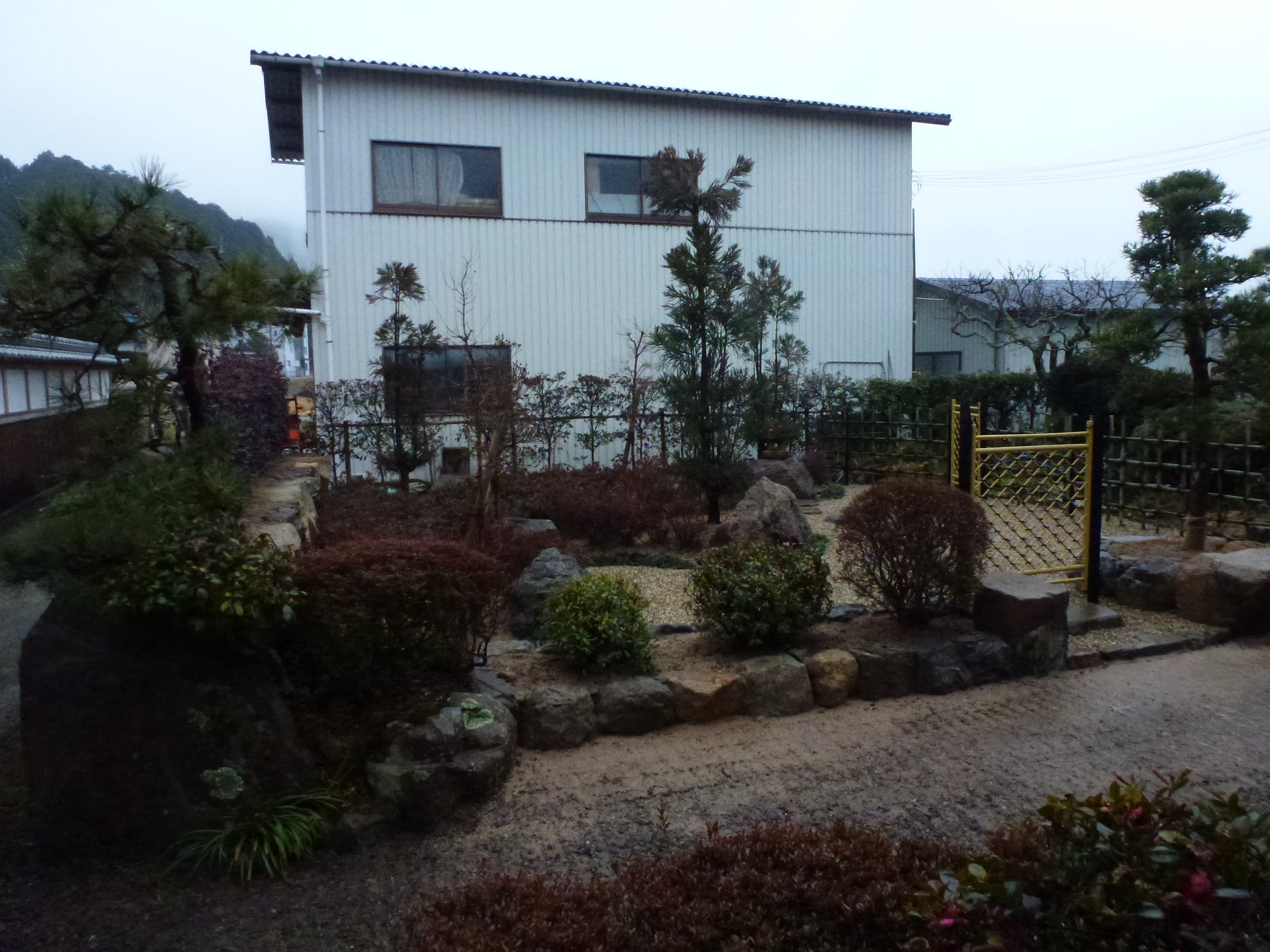 P1150685.JPG