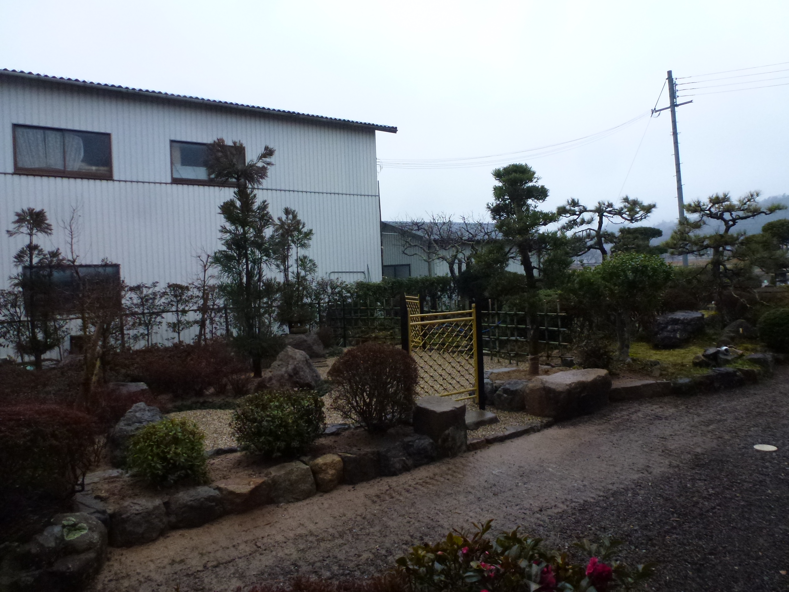 P1150686.JPG