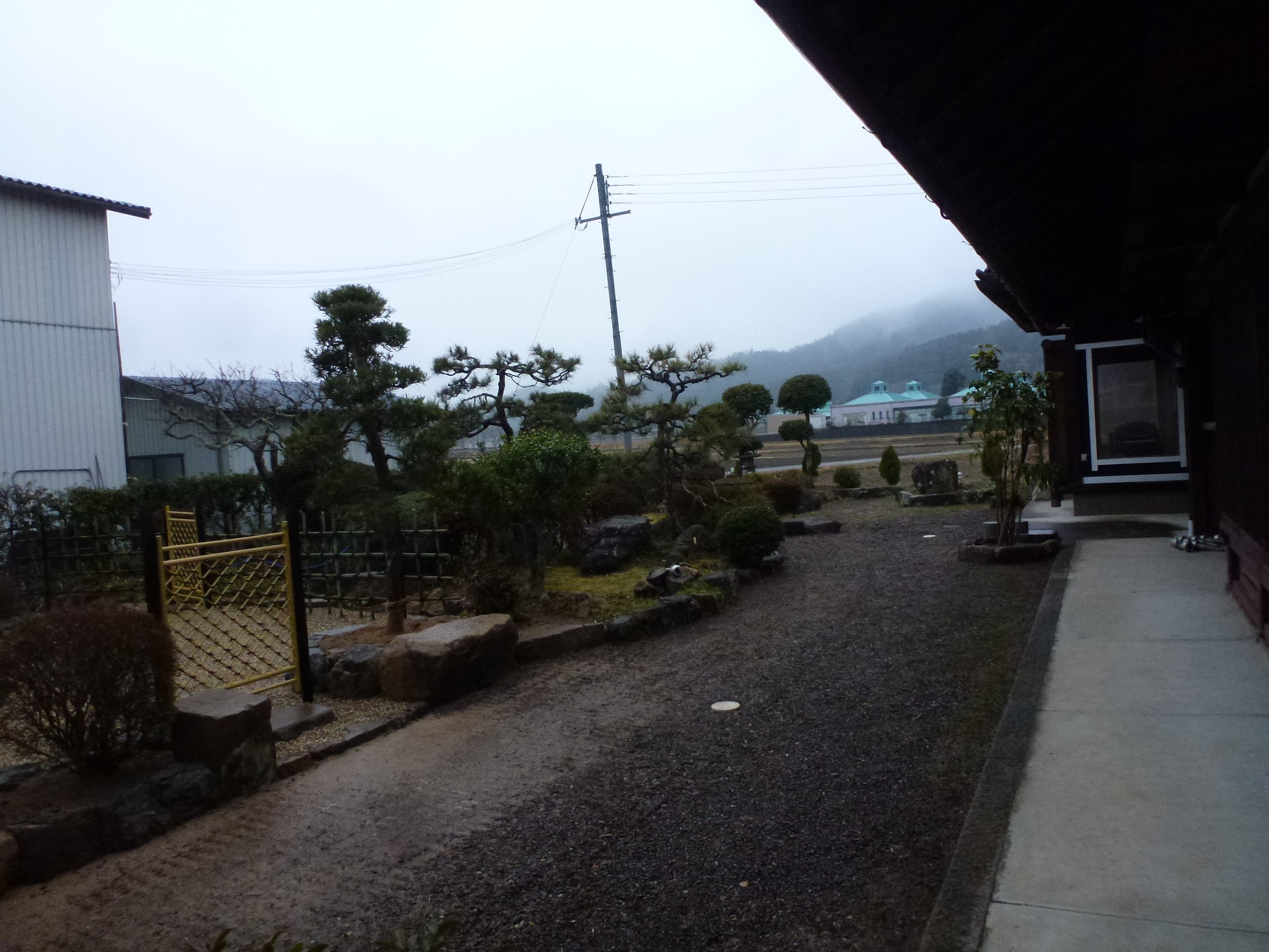 P1150687.JPG