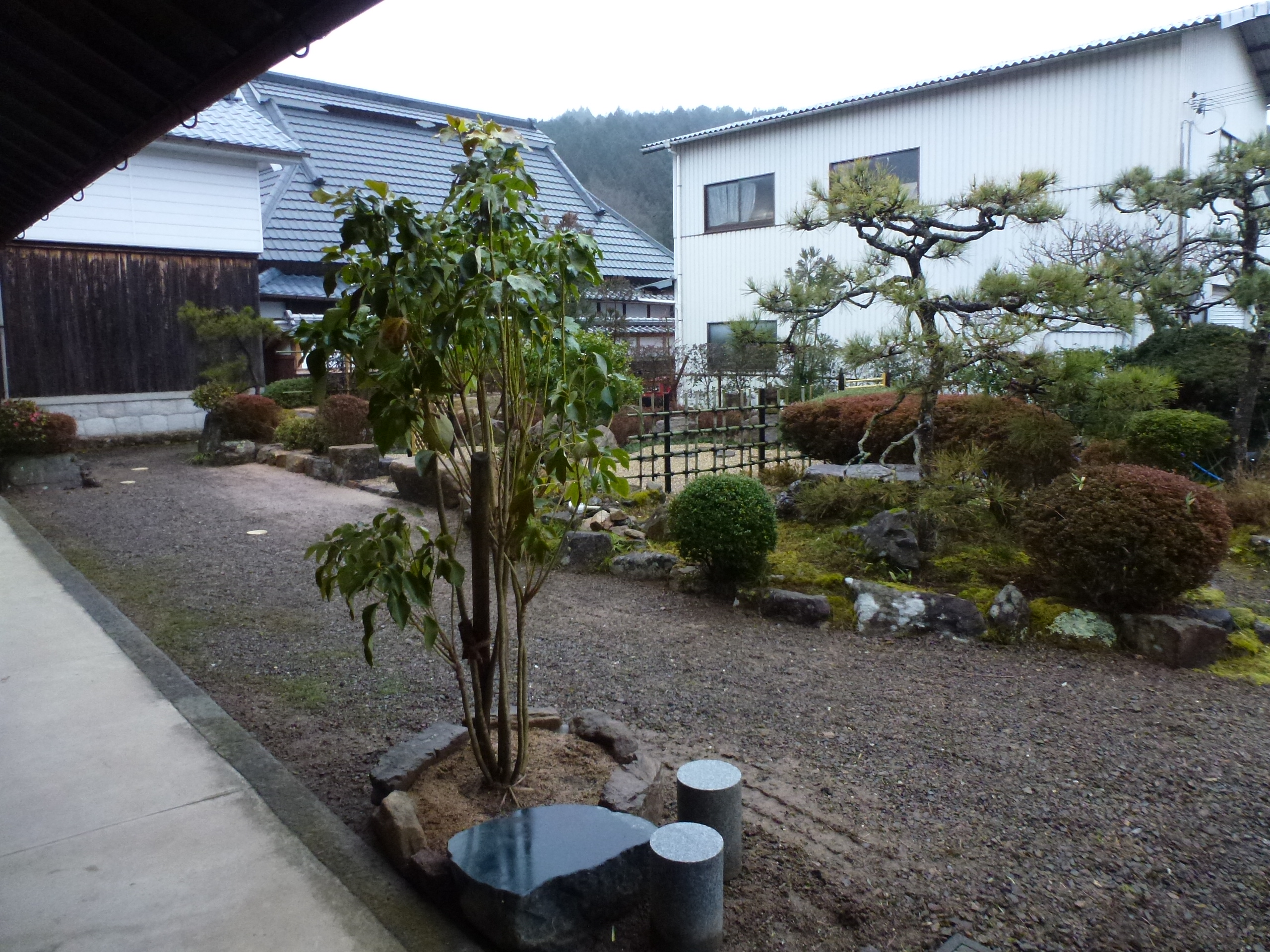 P1150688.JPG