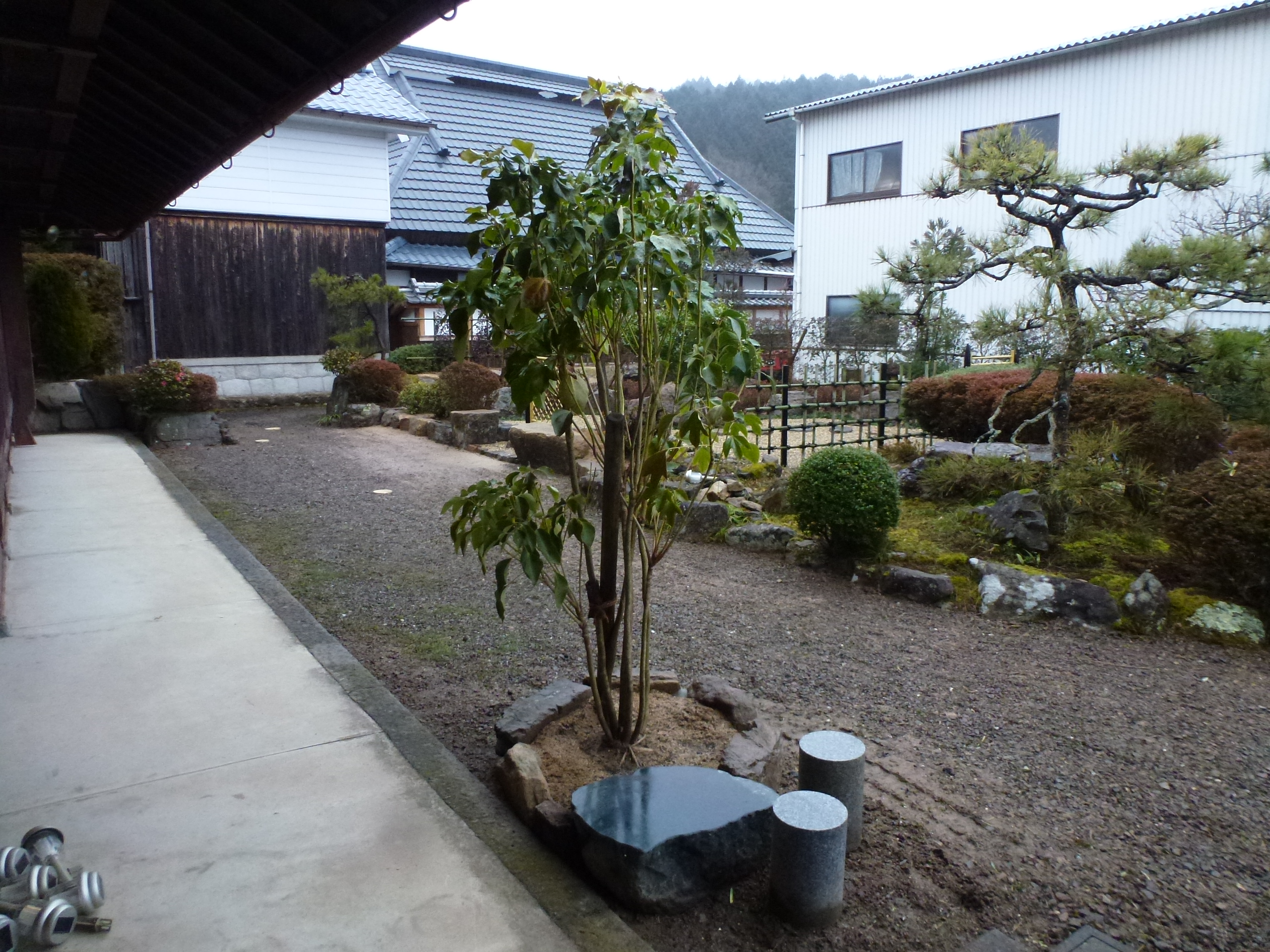 P1150689.JPG