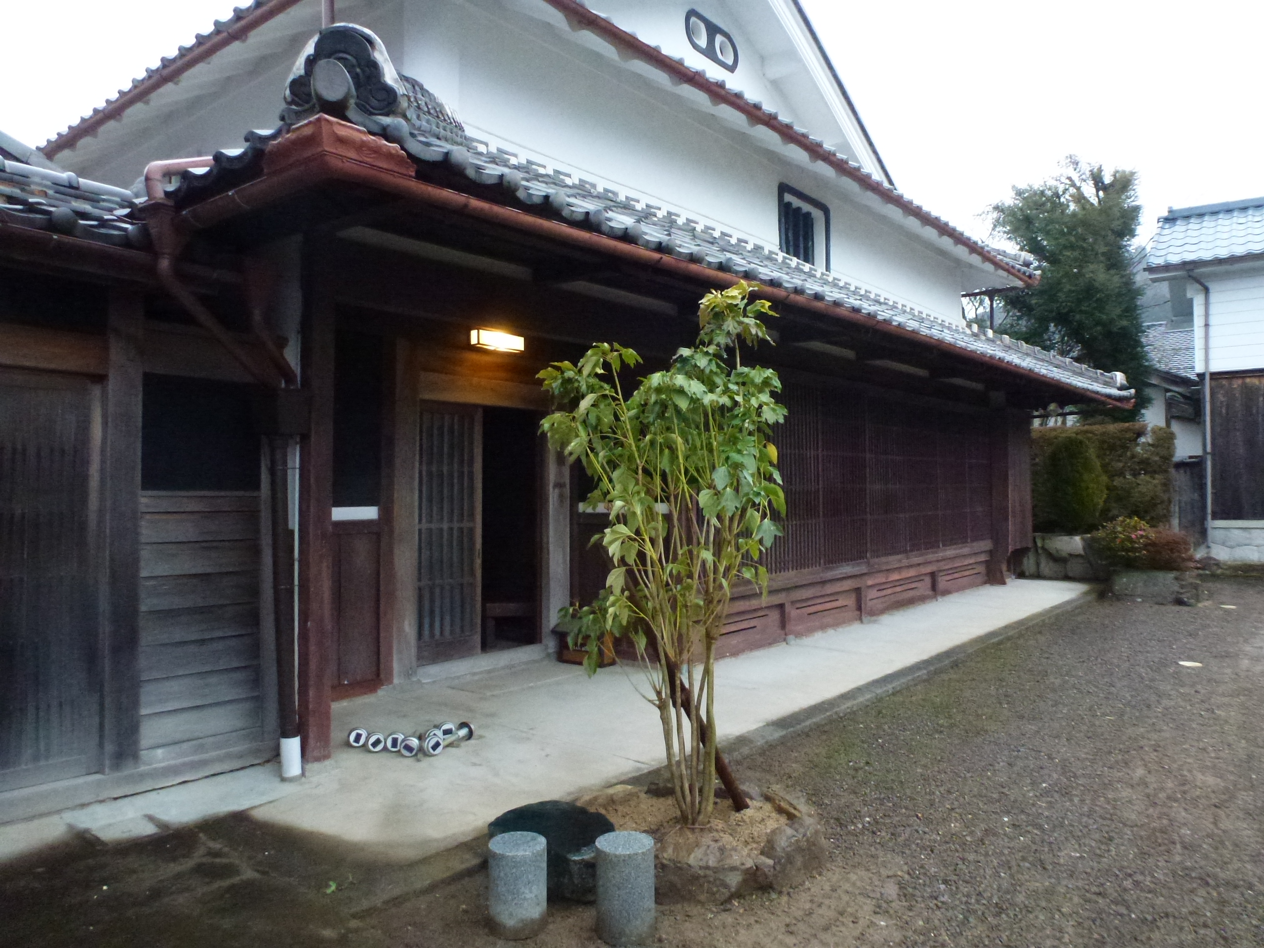 P1150690.JPG