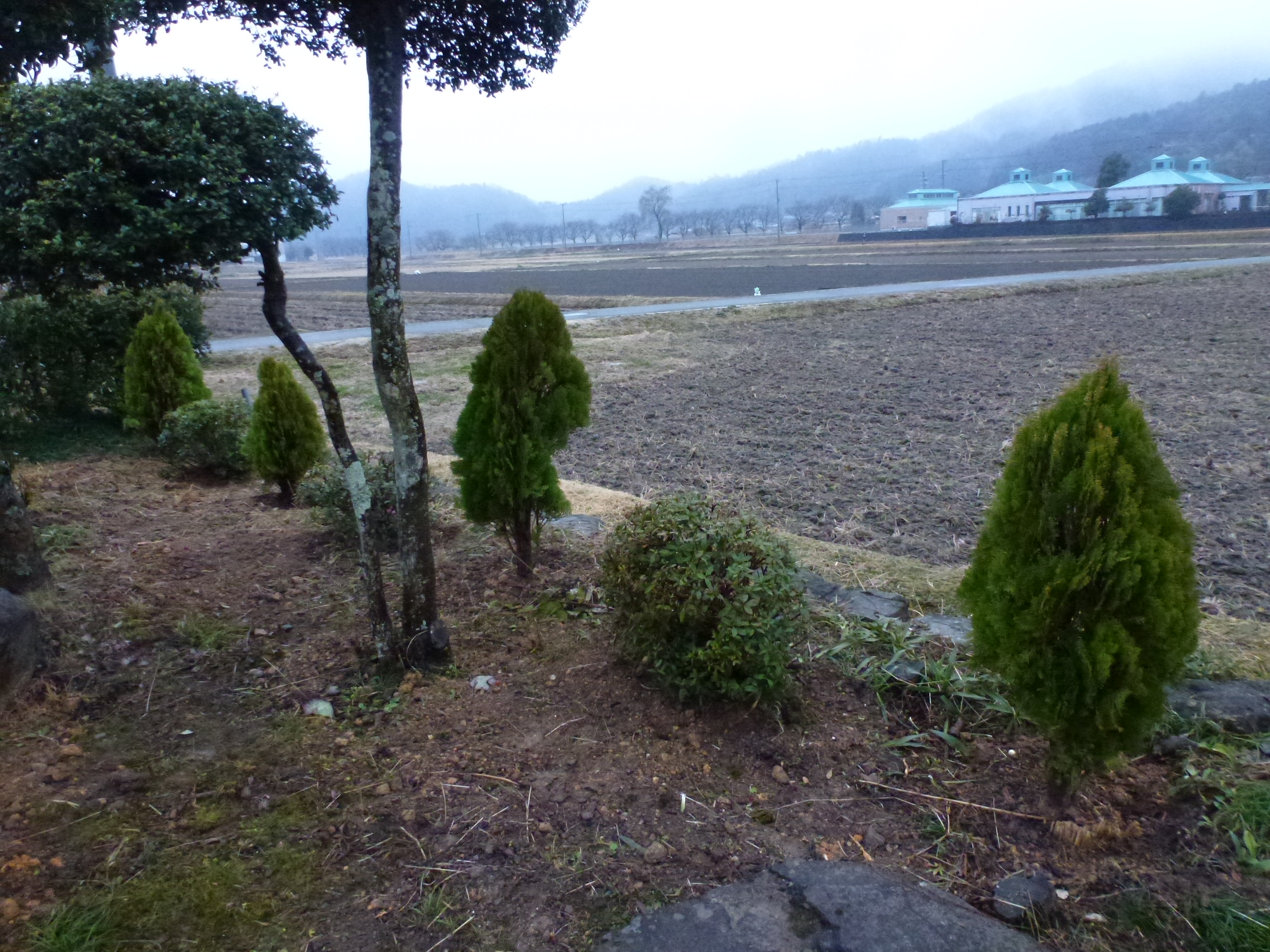 P1150691.JPG