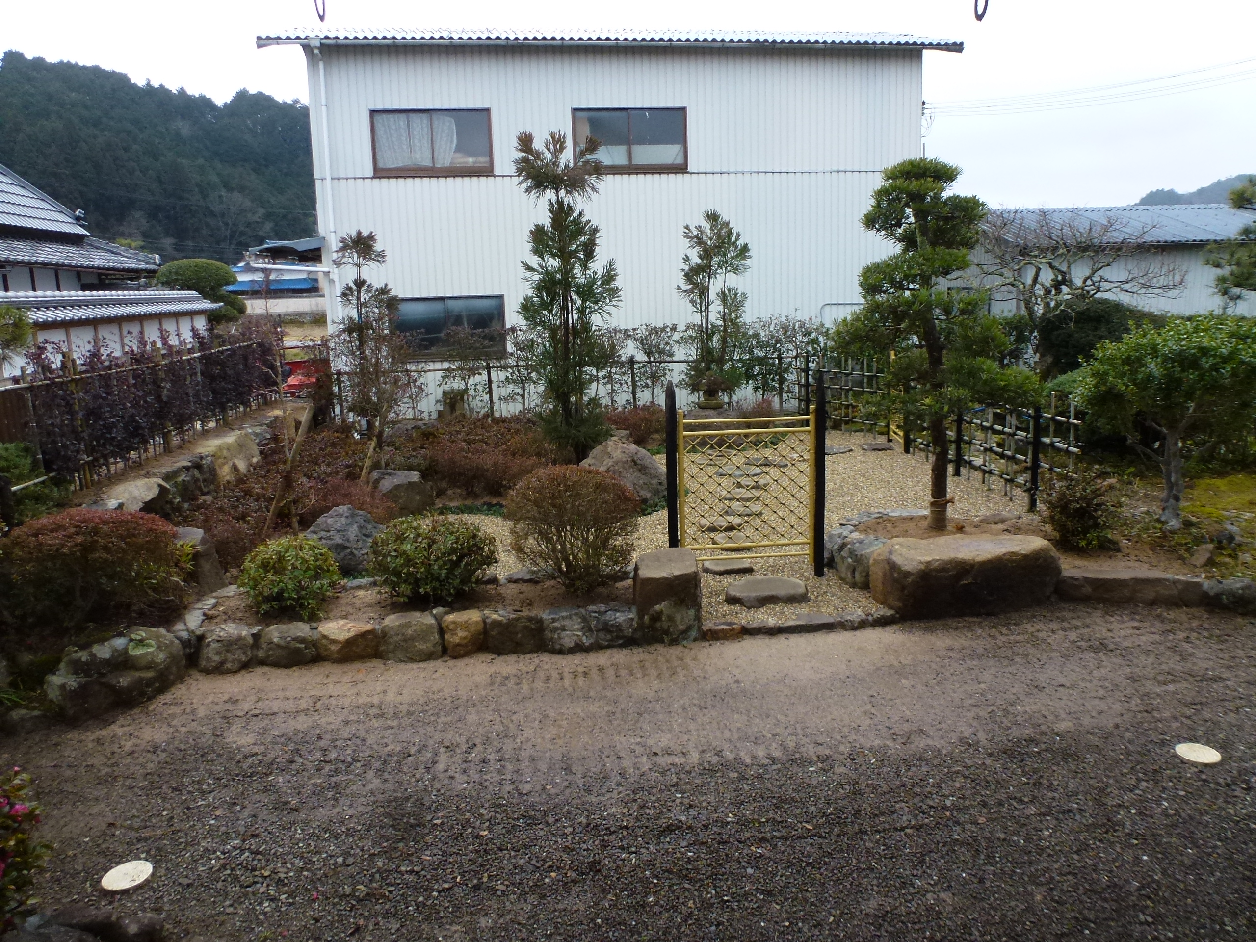 P1150729.JPG