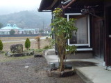 img0008.jpg
