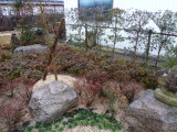 img0013.jpg
