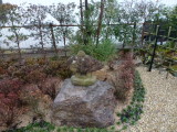img0014.jpg