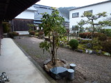 img0022.jpg