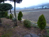 img0024.jpg