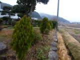 img0025.jpg