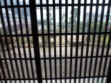 img0037.jpg