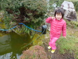 img0082.jpg