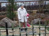 img0091.jpg
