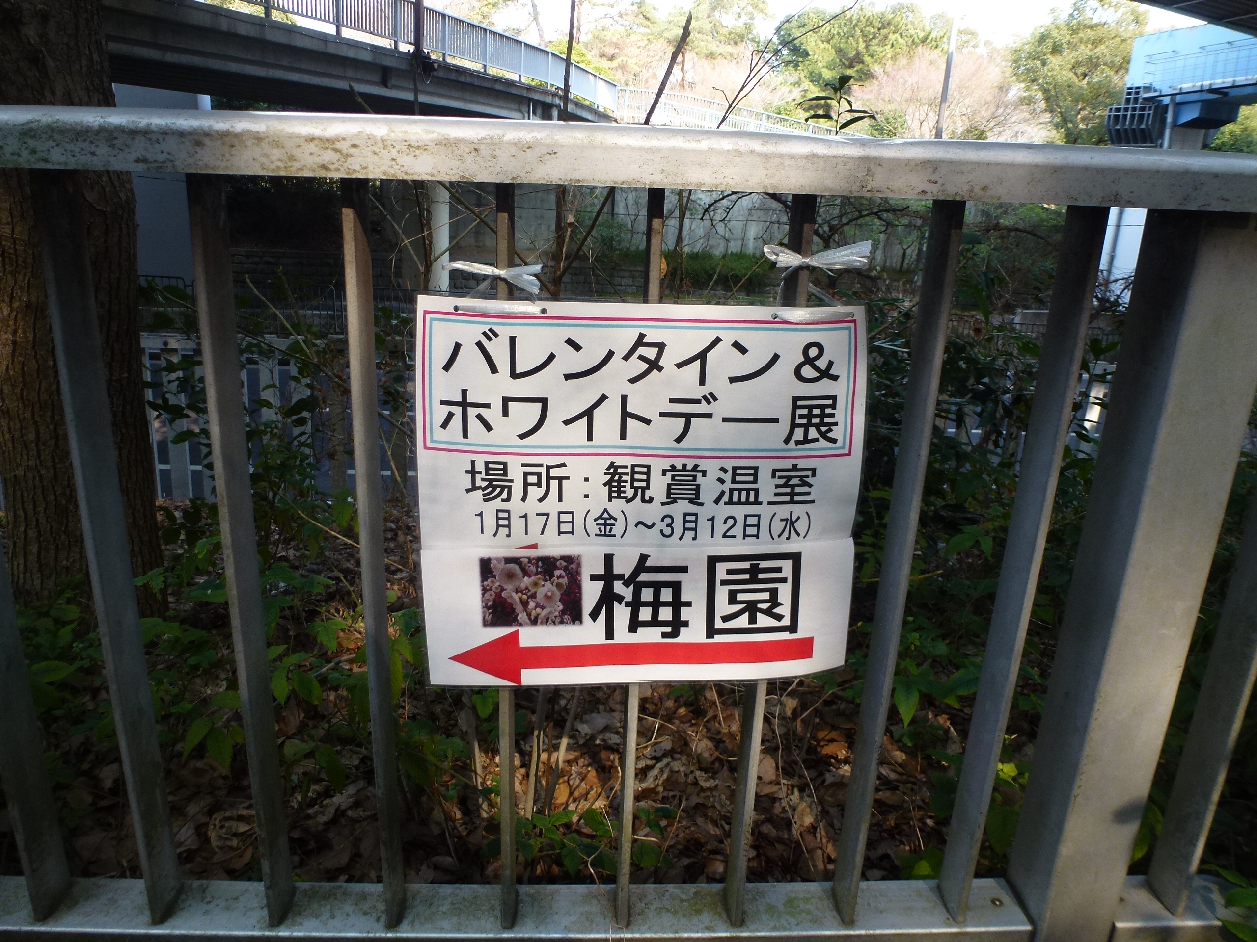 P1150799.JPG