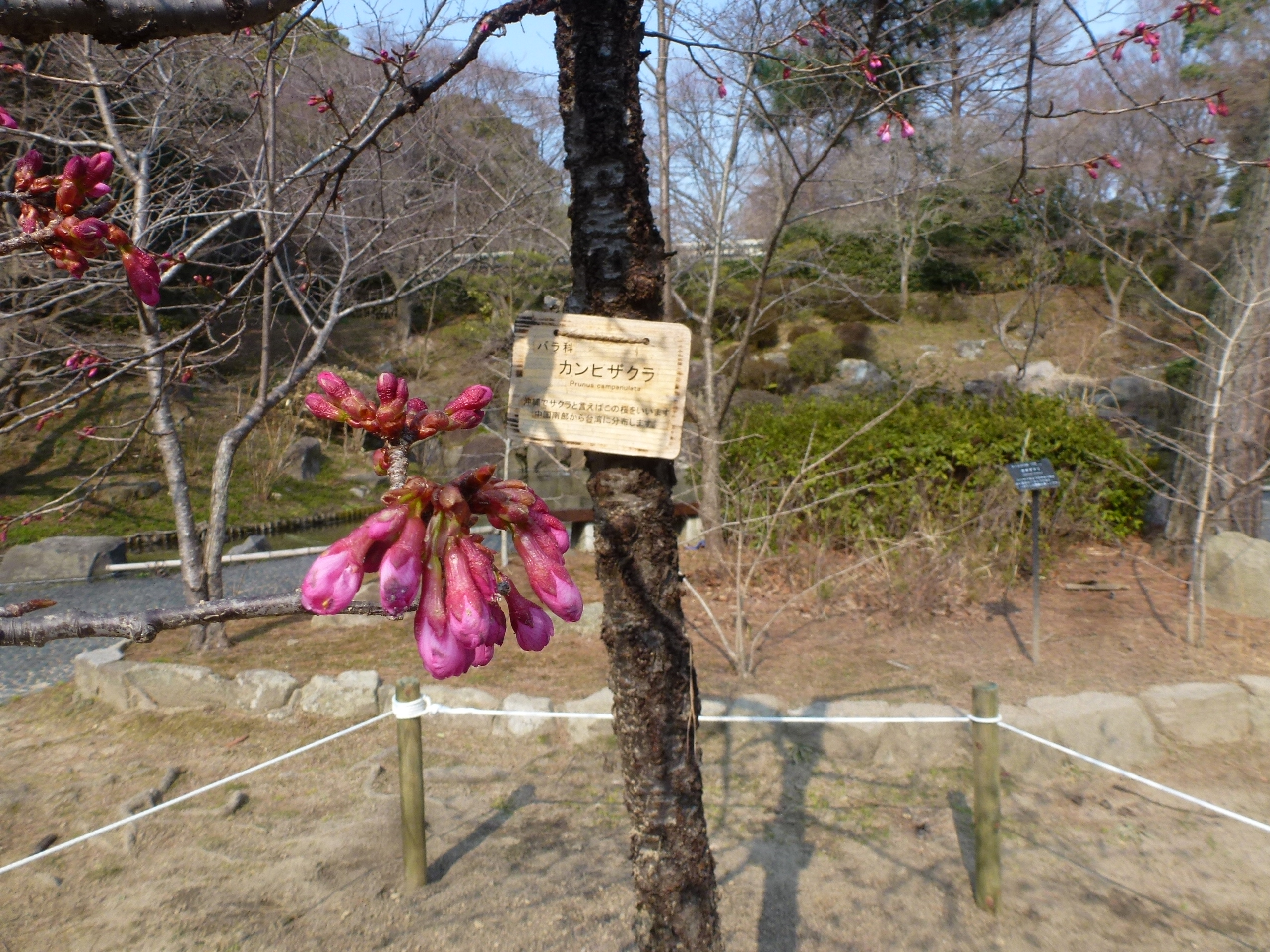 P1150800.JPG