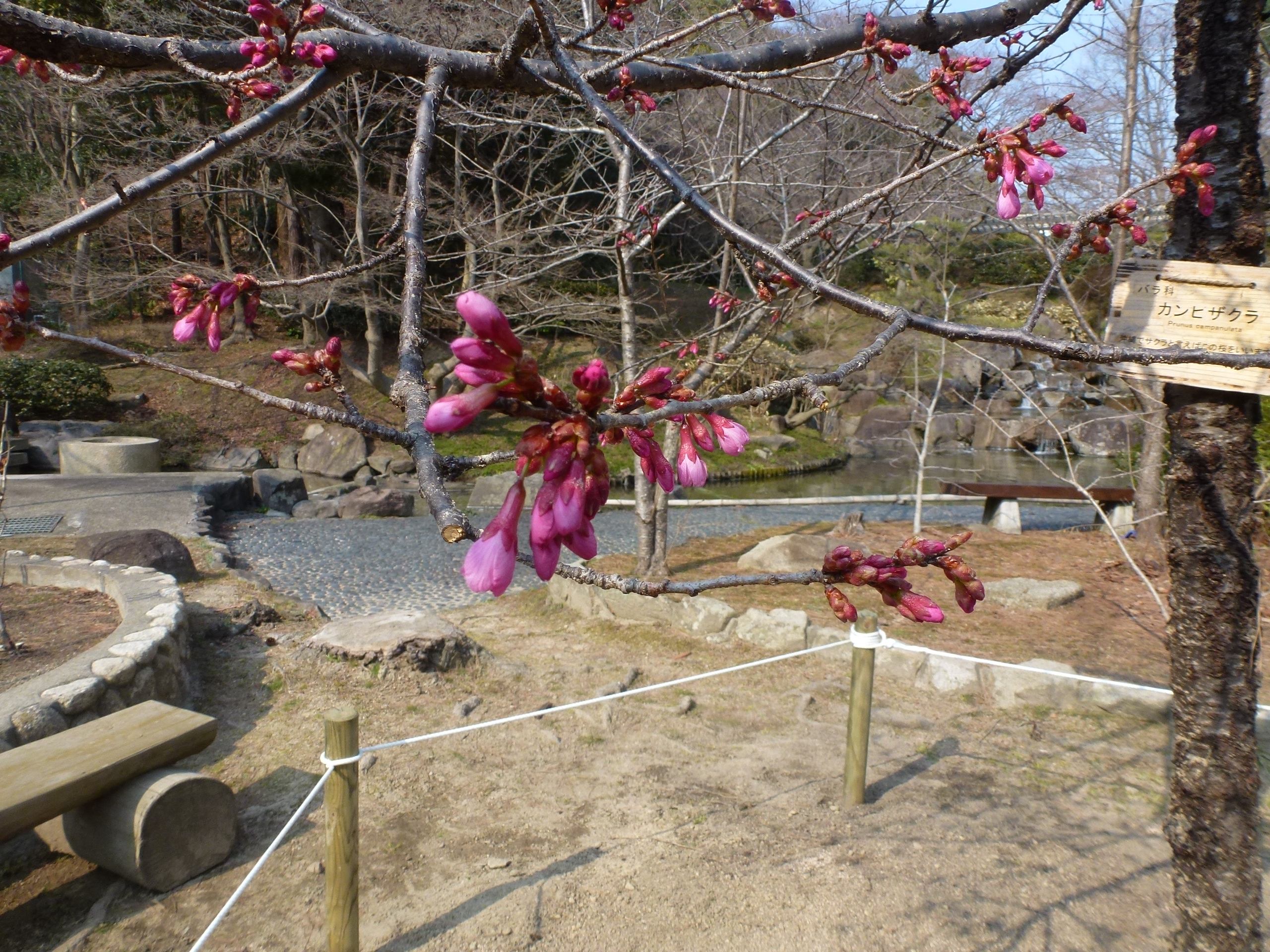 P1150801.JPG
