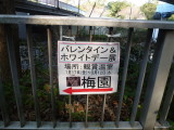 img0001.jpg