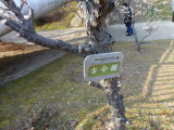 img0005.jpg