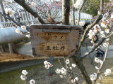 img0007.jpg