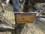 img0009.jpg