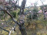 img0015.jpg