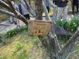 img0017.jpg