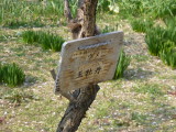 img0020.jpg