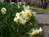 img0021.jpg