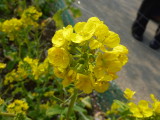 img0023.jpg
