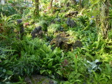 img0026.jpg