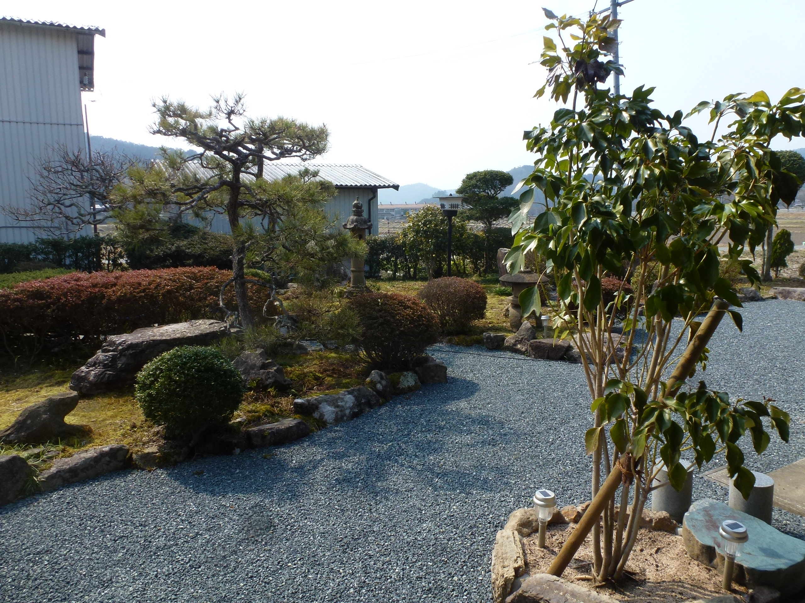 P1150837.JPG