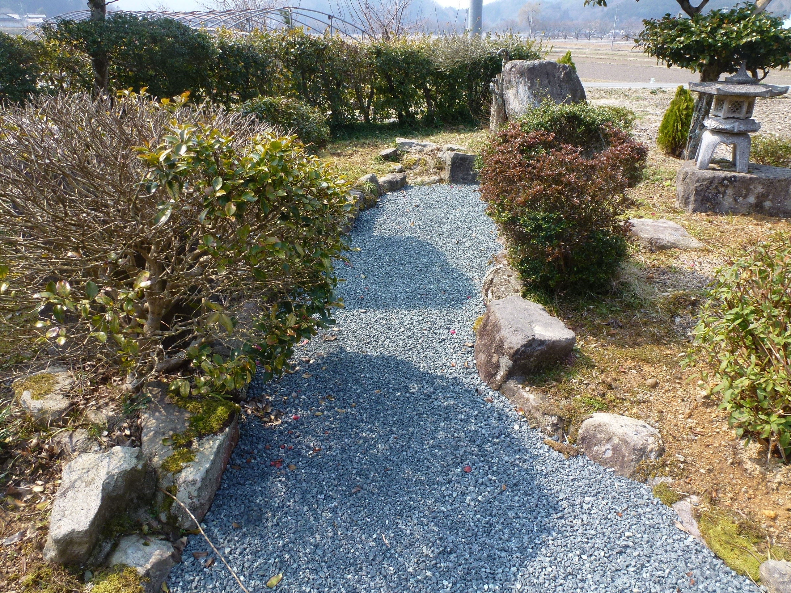 P1150838.JPG