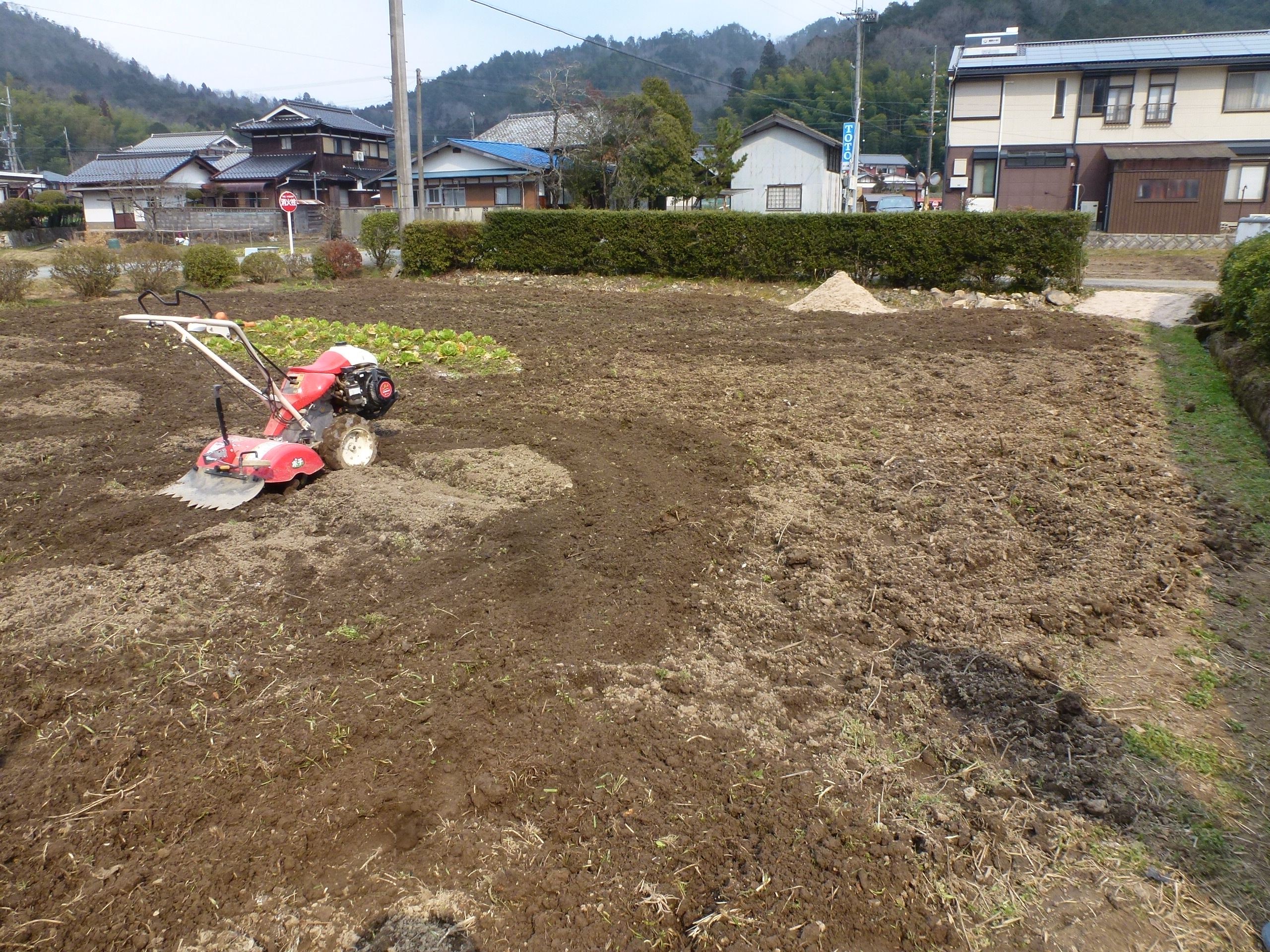 P1150843.JPG