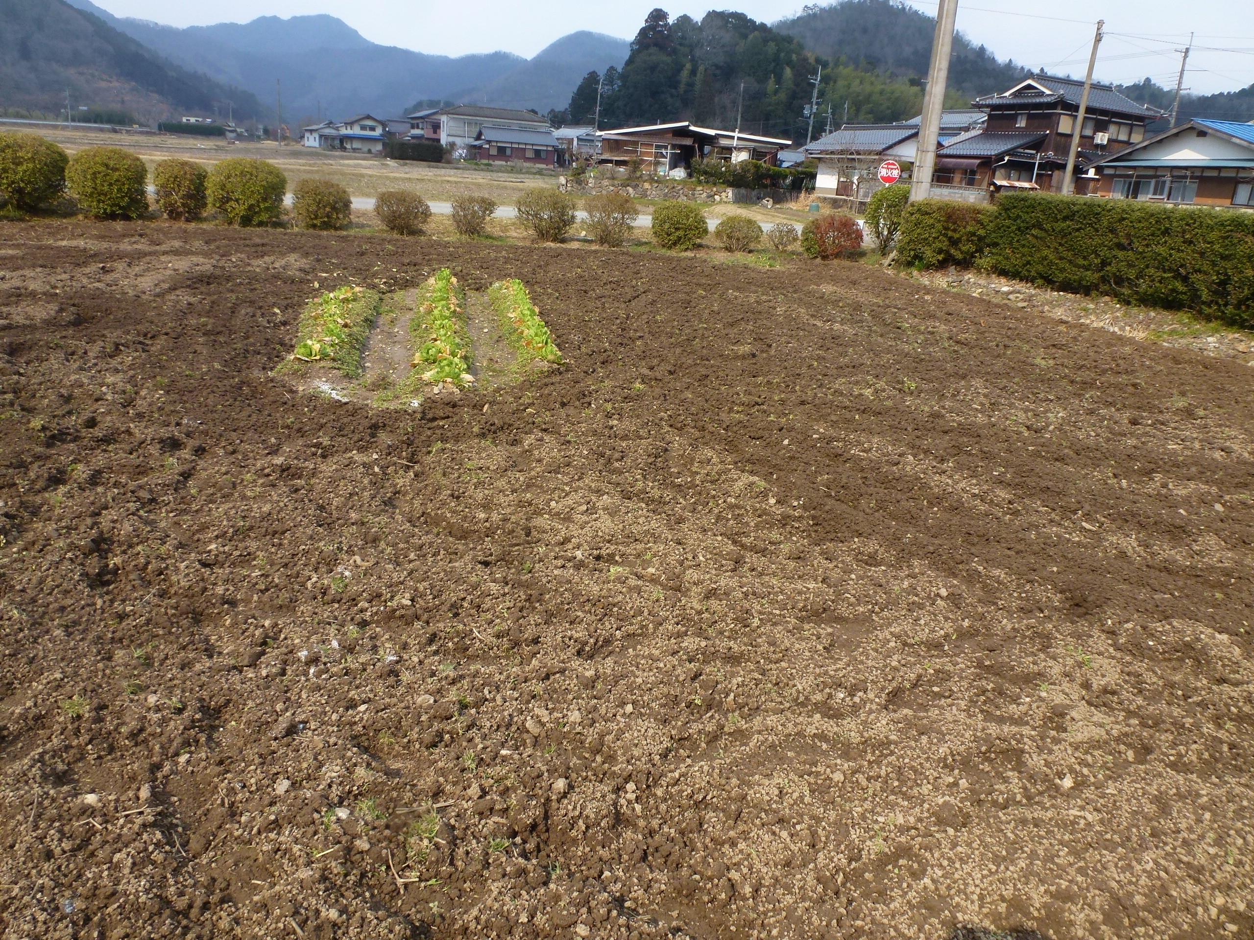 P1150844.JPG
