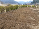 img0009.jpg