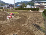 img0010.jpg