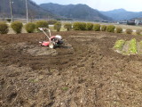 img0012.jpg