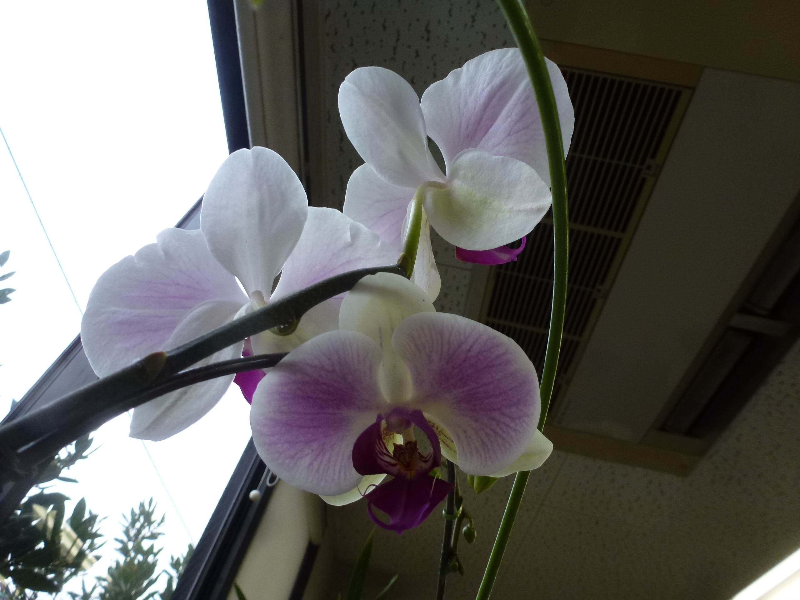 P1150883.JPG