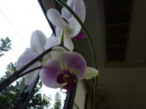 img0003.jpg