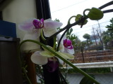 img0004.jpg