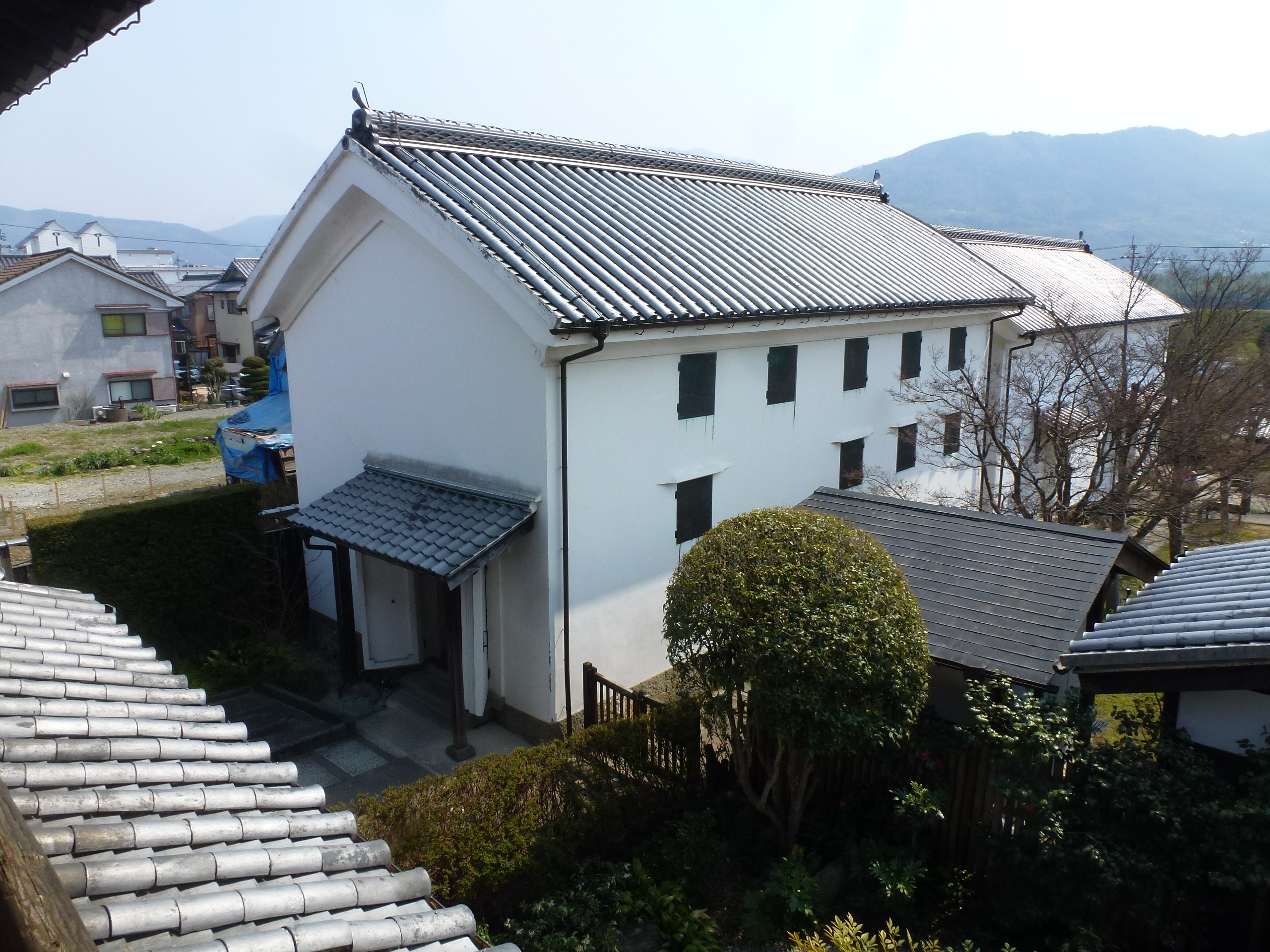 P1150911.JPG